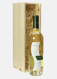 Sauvignon Blanc. Shop in Ukrainian Marriage Agency.
