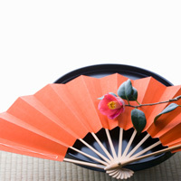 Chinese Fan. Shop in Ukrainian Marriage Agency.