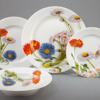 Dish set service. Shop in Ukrainian Marriage Agency.
