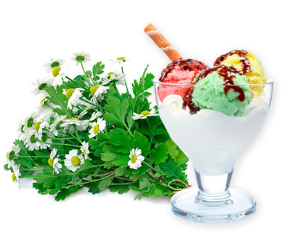 Camomiles and ice-cream. Shop in Ukrainian Marriage Agency.