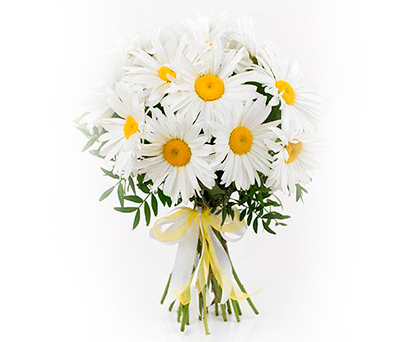 Bouquet of Camomiles. Shop in Ukrainian Marriage Agency.