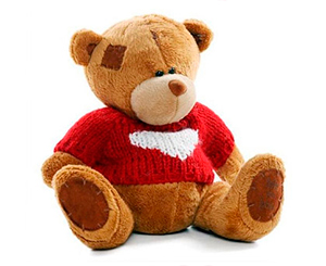 Bear in a warm pullover. Shop in Ukrainian Marriage Agency.