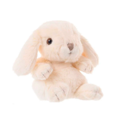 Funny Bunny. Shop in Ukrainian Marriage Agency.