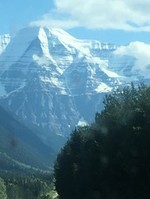 Tony / Canada Uadreams review