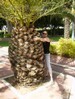 Katya from Cherkasy, Ukraine girl pictures