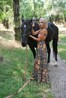Lerusik from Zaporozhye 23 years - easy charm. My small public photo.