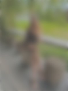 Anastasiia Ivano-Frankivsk 32 y.o. - intelligent lady - small public photo.